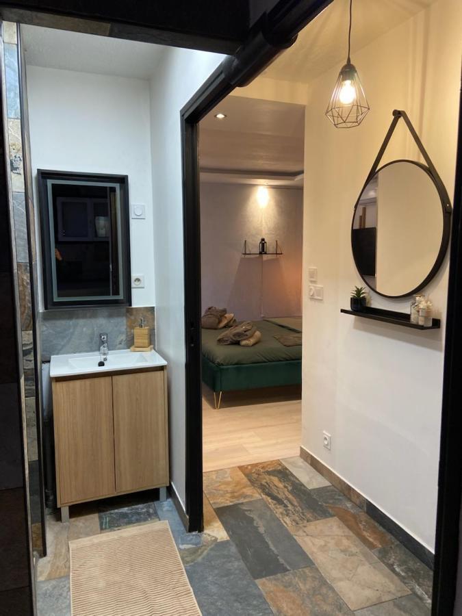 Appartement La Splenzia Spa Jacuzzi Wifi Clim 亞維農 外观 照片
